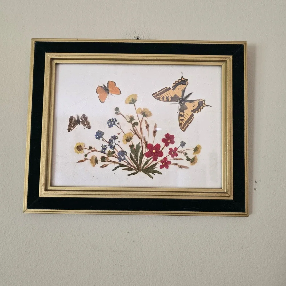 Vintage Framed Pressed Flower Butterfly Art Gold Black Velvet Border Wall Decor